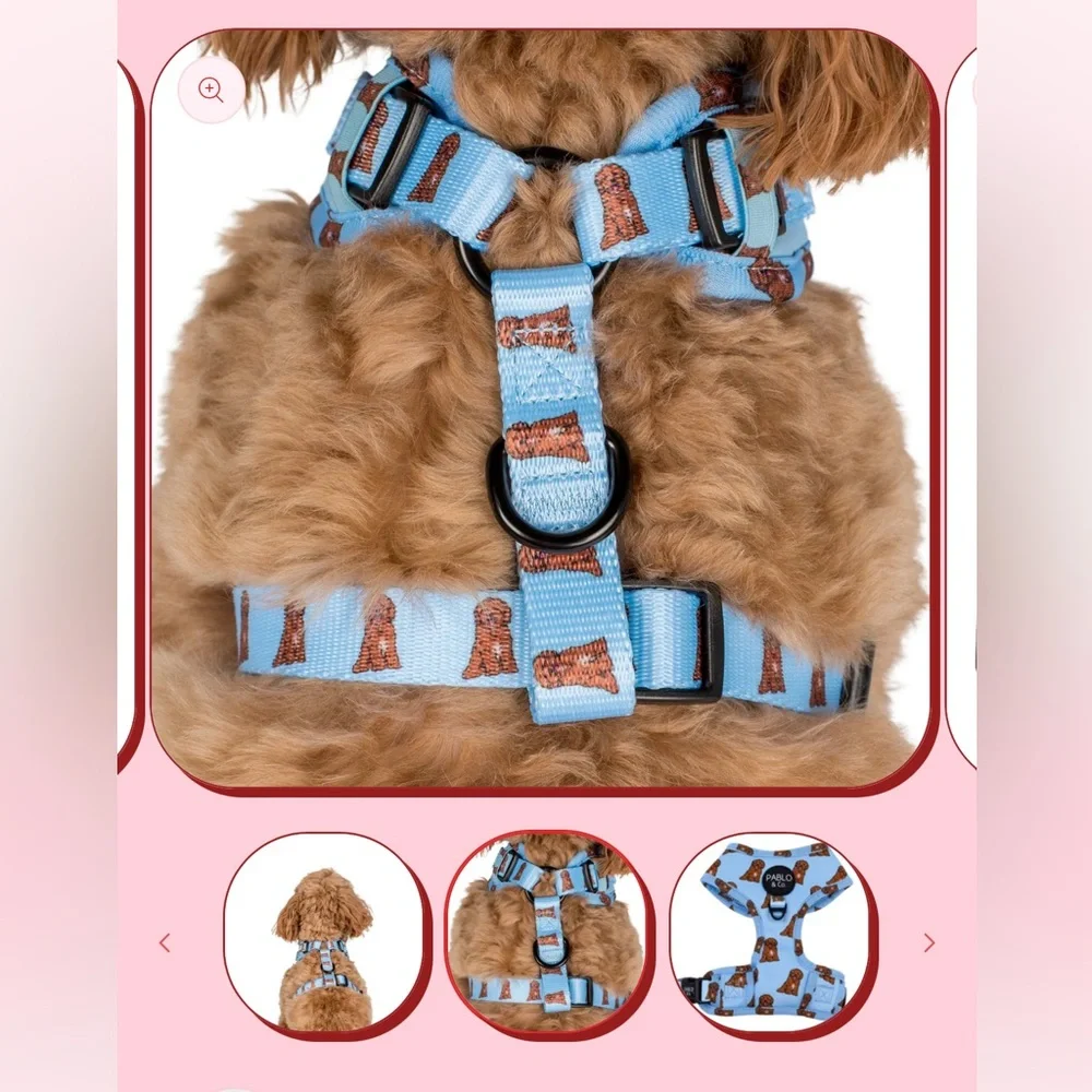 NWT Pablo & Co Cavoodle Adjustable Harness